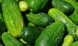 吃瓜菜菜子,揭秘娱乐圈的幕后故事