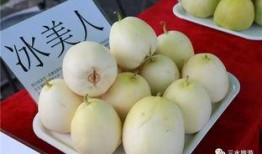 吃瓜大白14,一场关于瓜果的狂欢盛宴